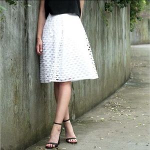 New J. Crew Skirt